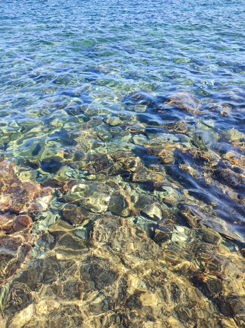 Small Rocks Under Clear Water at a Seashore