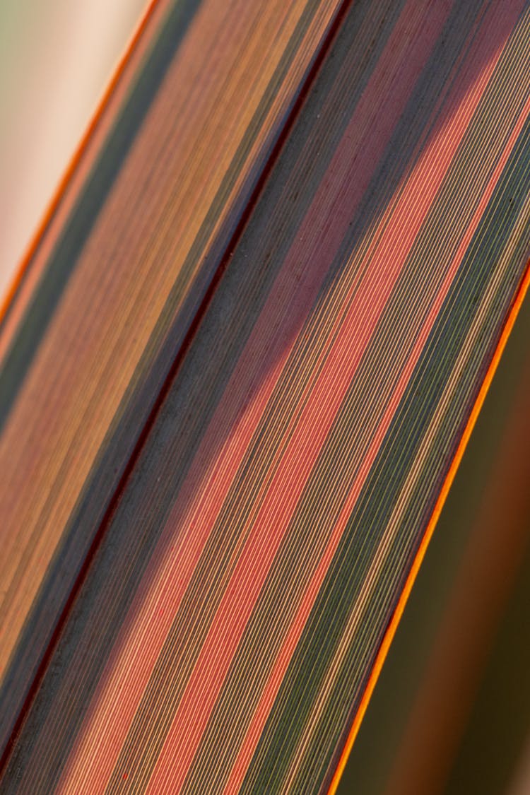 Close-Up Photo Of Multicolored Strip Of Fabric