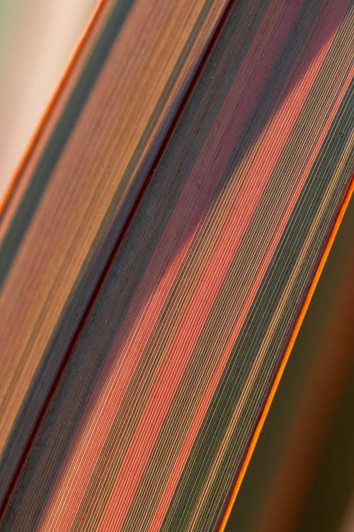 Free Close-Up Photo of Multicolored Strip of Fabric Stock Photo