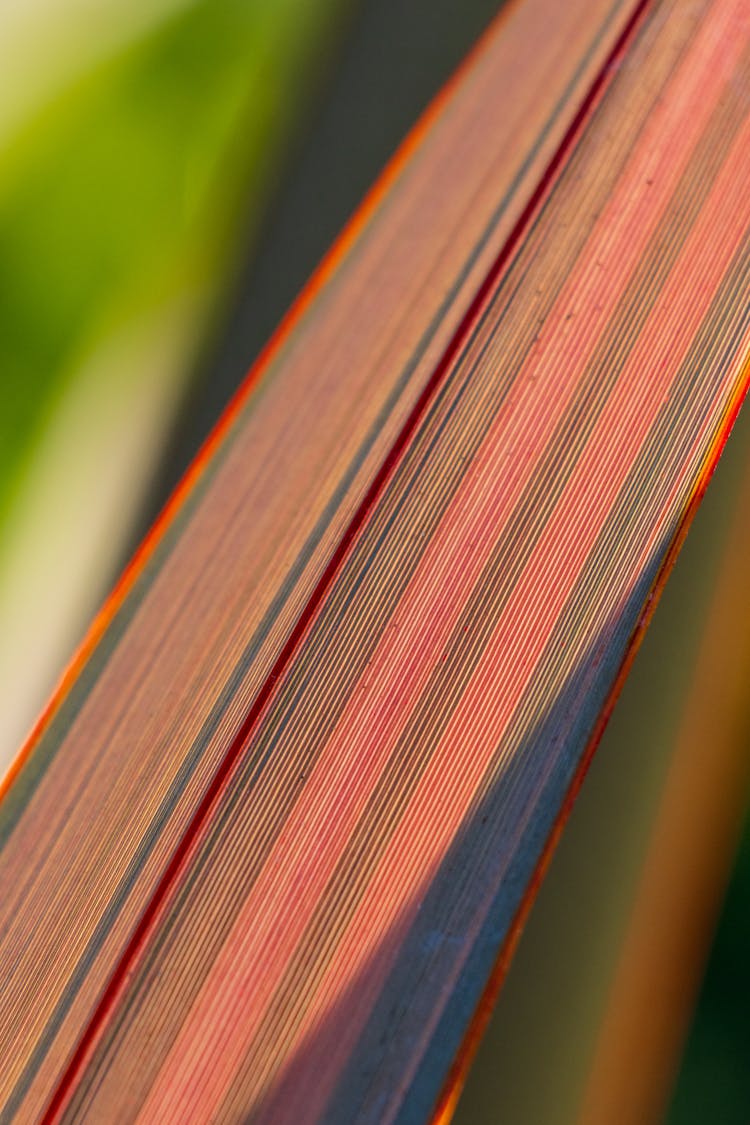 Multicolored Strip Of Fabric