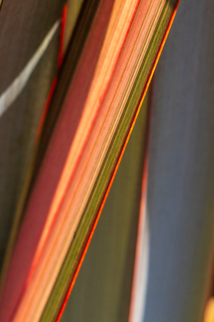 Close-Up Shot Of Multicolored Fabric Strip