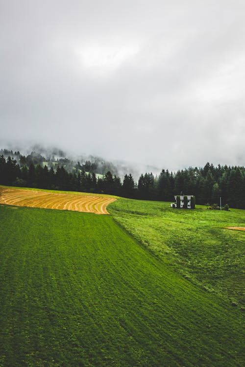 Бесплатное стоковое фото с вид, газон, деревья