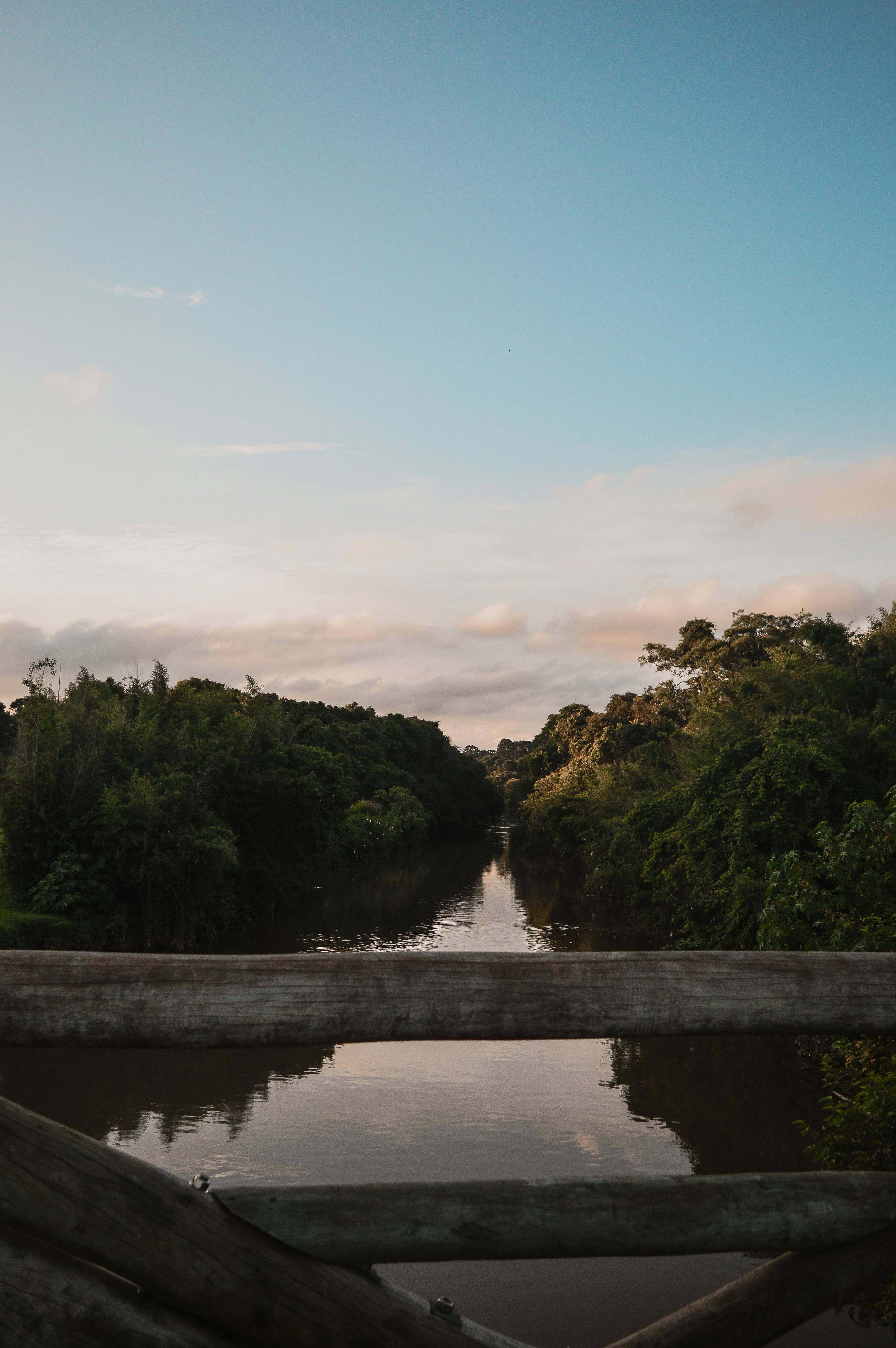 从木桥上望去，一条宁静的河流在明亮的天空下穿过郁郁葱葱的绿色植物