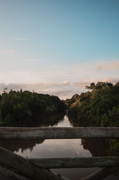 Free A peaceful river passes through lush greenery under a bright sky, seen from a wooden bridge. Stock Photo