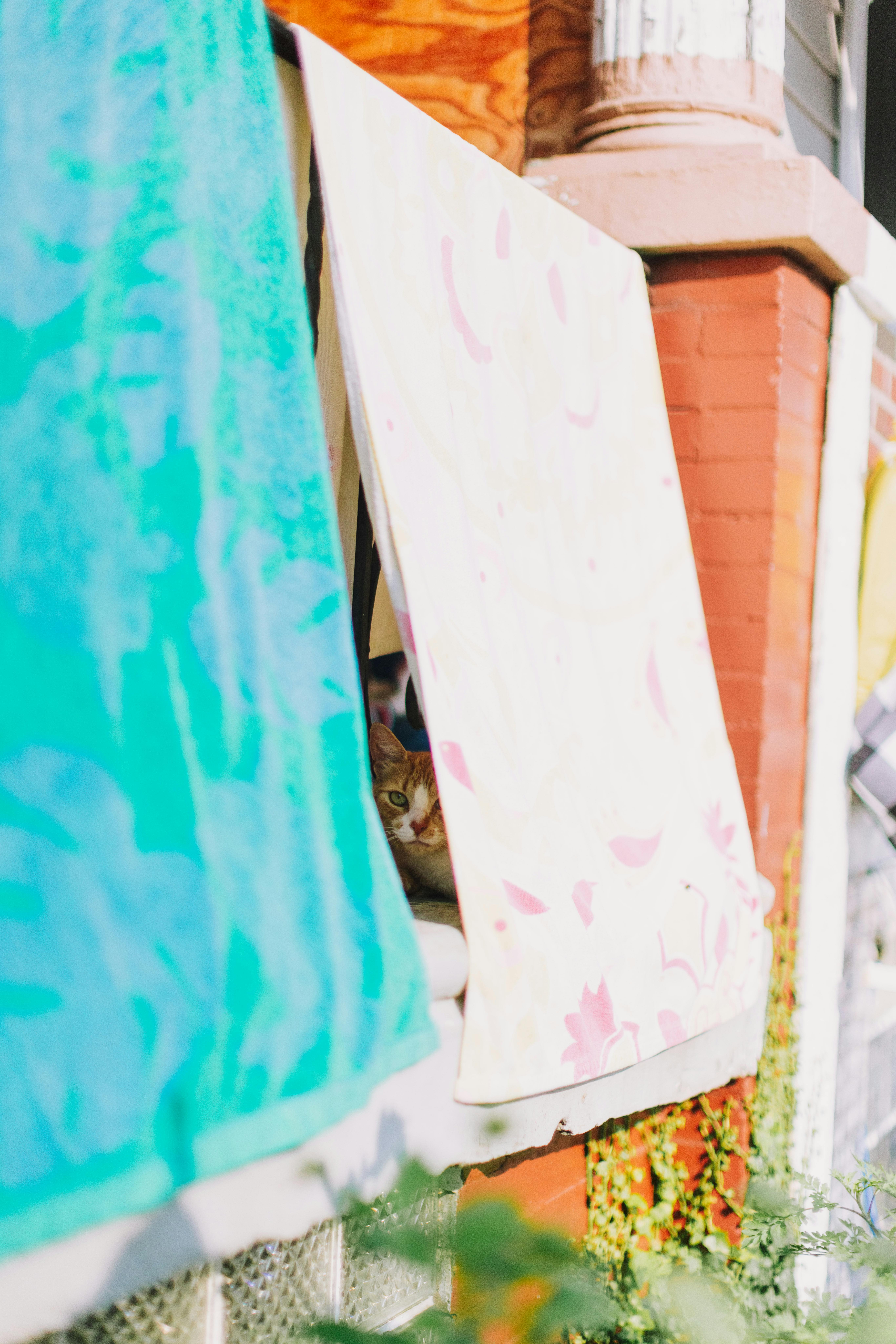 Gratis Fotos de stock gratuitas de acogedor, al aire libre, ambiente hogareño Foto de stock