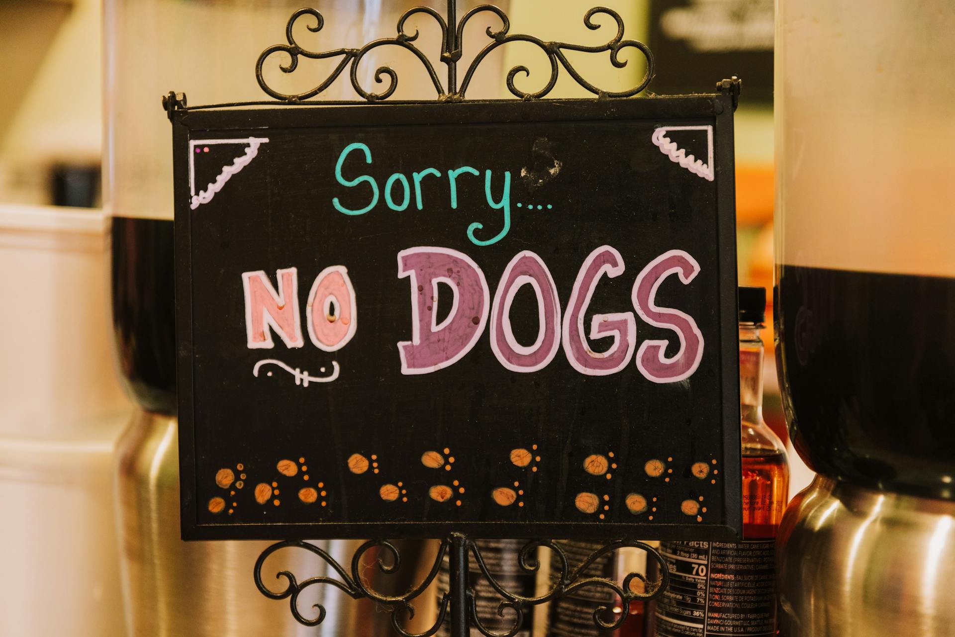 No Dogs Sign at Restaurant