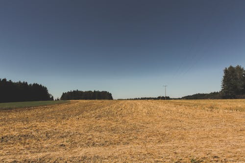 Free stock photo of countryside, environment, field