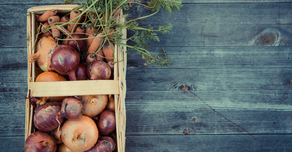 Onions in Basket