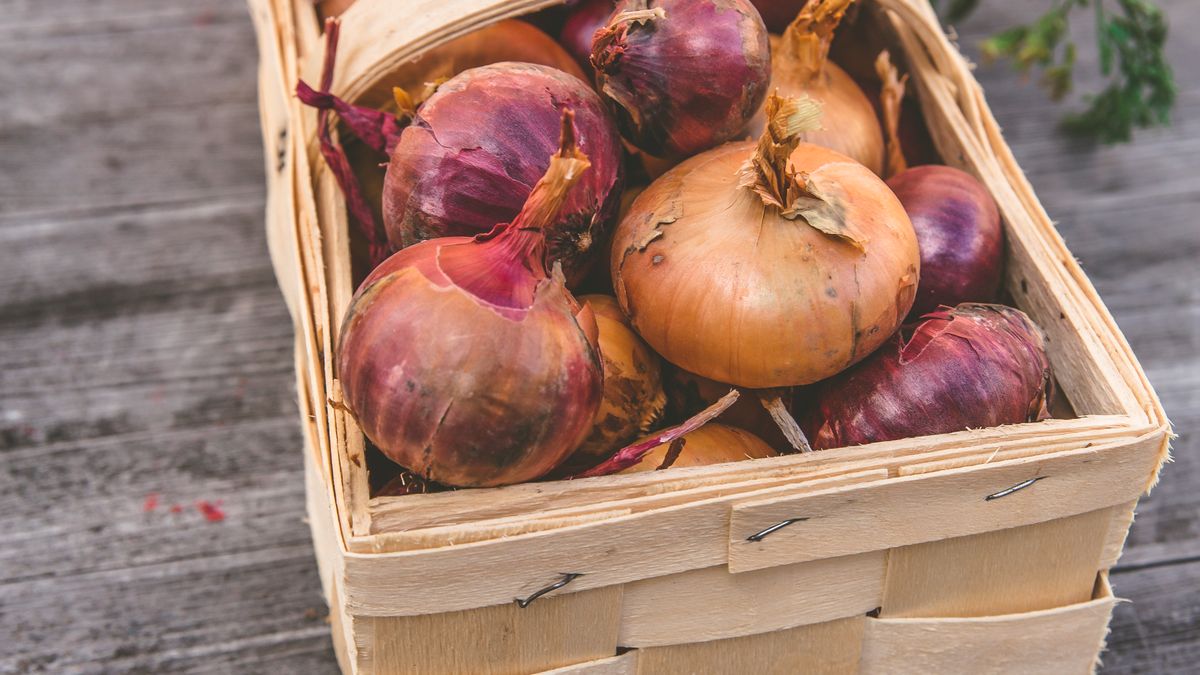 Alimentation bio en circuit court
