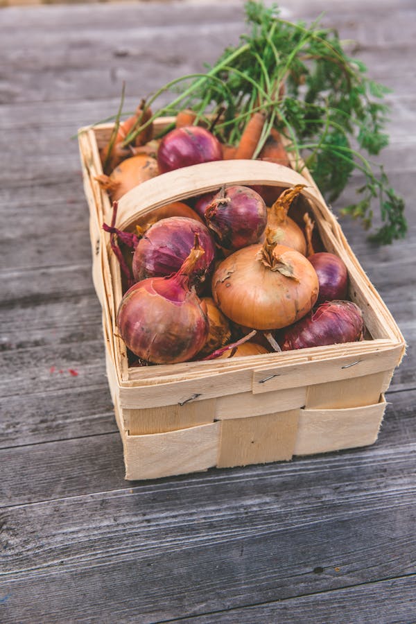 Free stock photo of basket, carrots, harvest