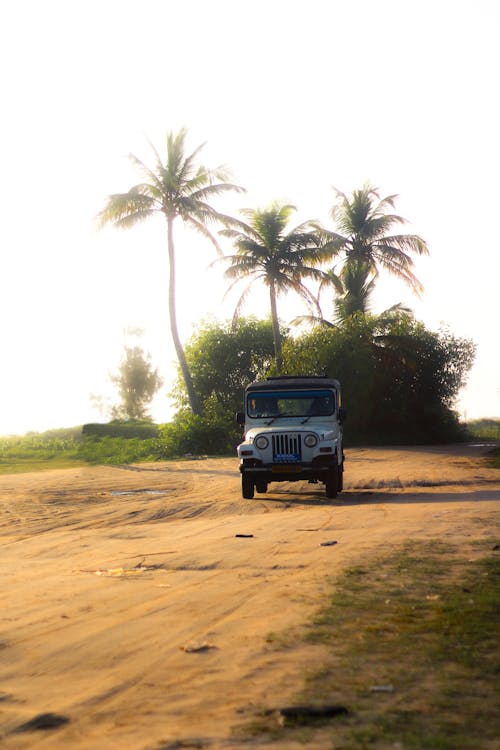 An SUV Car on an Unpaved Road with Palm Trees in the Background 