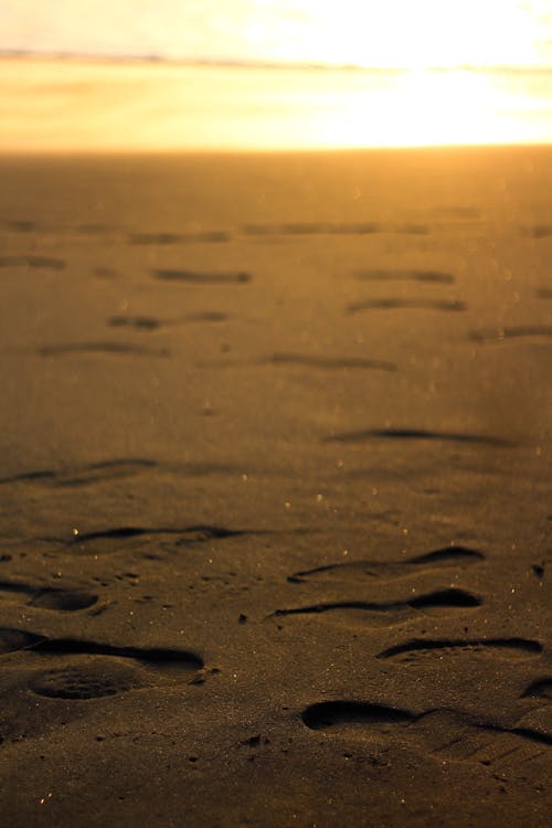 Close-up of Footprints in the Sand on the Beach 