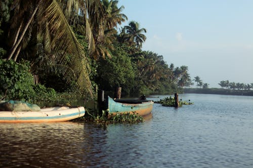 Backwaters