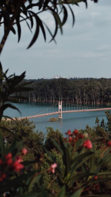 Captivating view of a suspension bridge over a tranquil river surrounded by lush greenery and flowers.