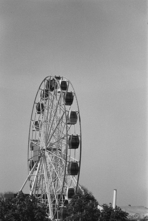 Free Black and white photo of a ferris wheel in an amusement park with a clear sky. Stock Photo