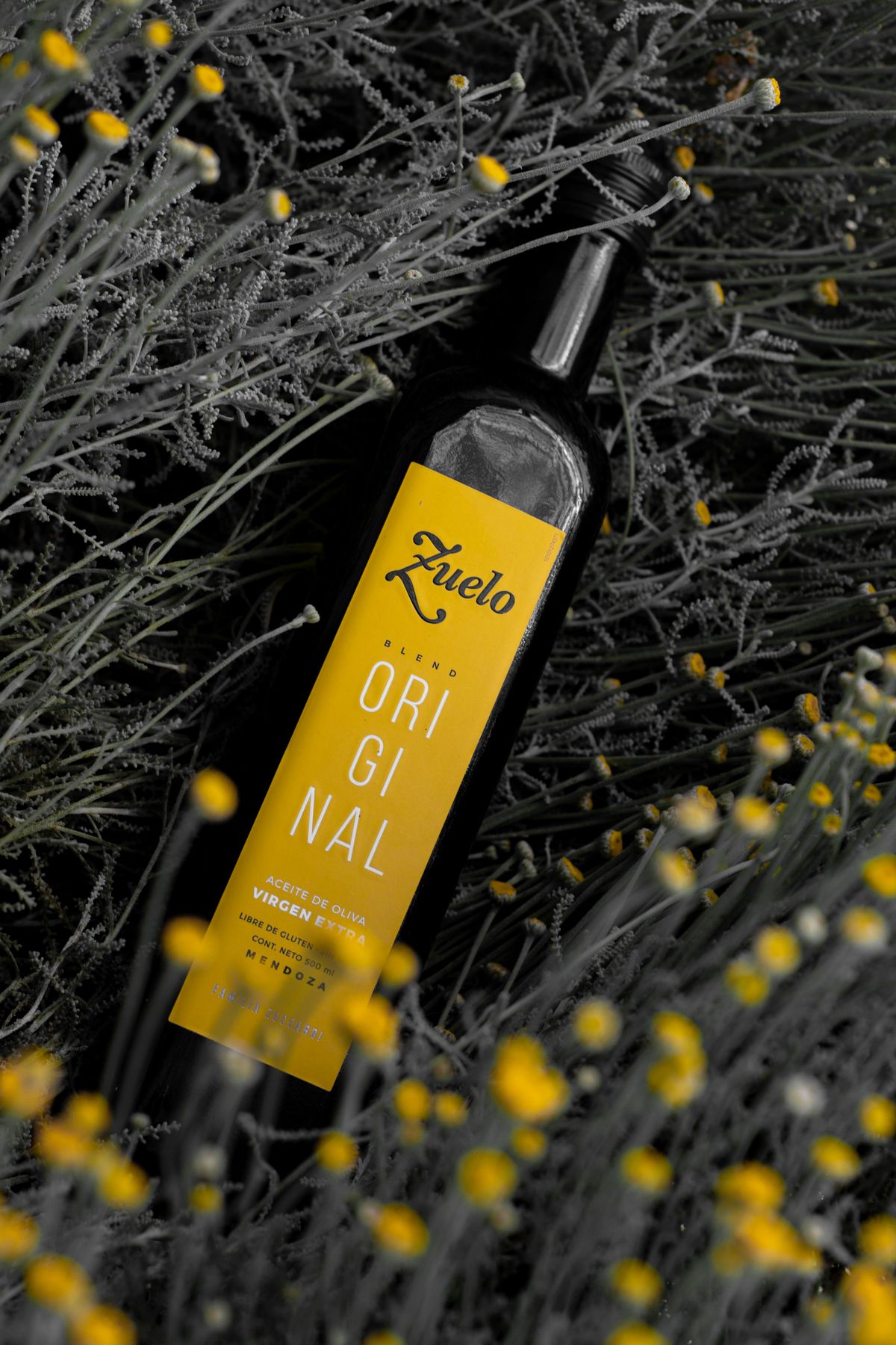 Koroneiki Single-Estate EVOO