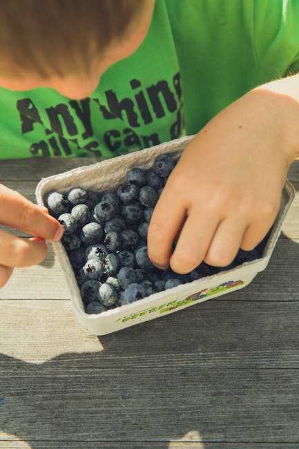 Person Holding Gray and Green Plastic Container With Black Beans