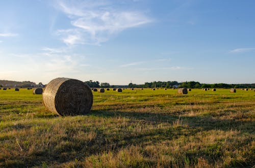 Photo of Hay Bales on a Field