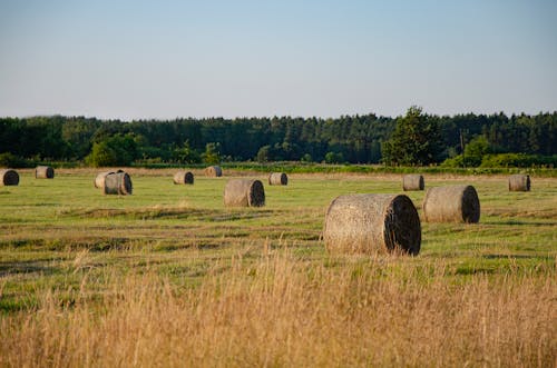 Several Hay Rolls on Grass Field Within Mountain Range · Free Stock Photo