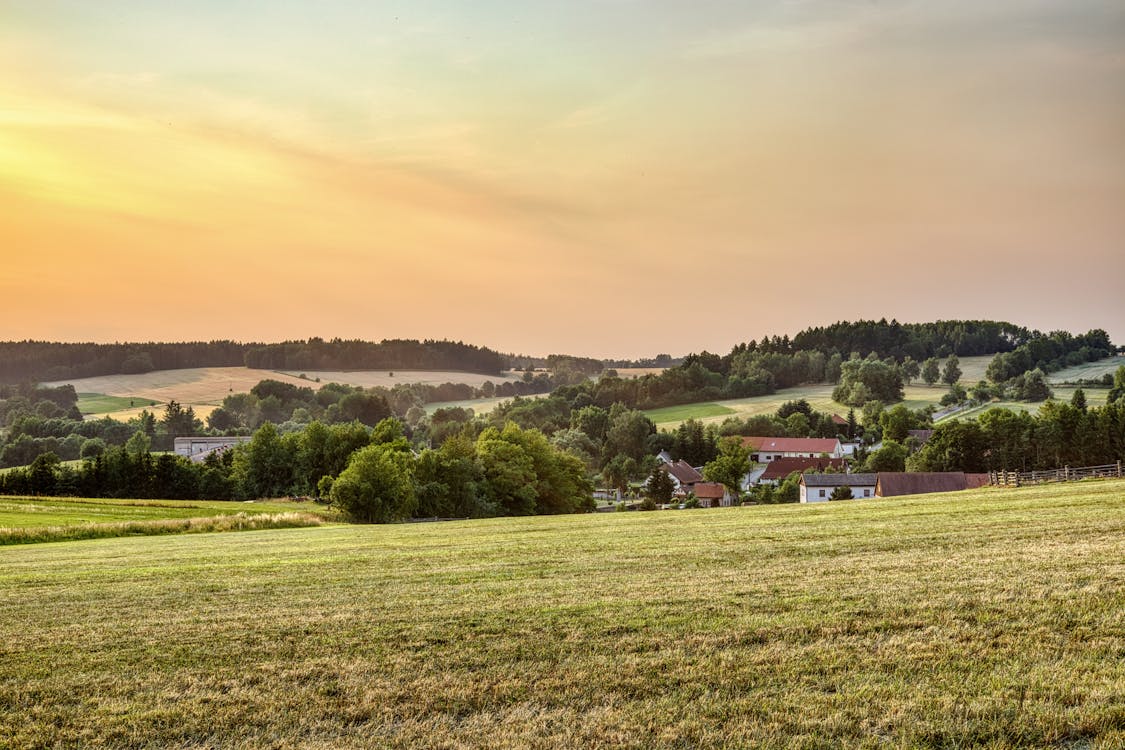 Landscape with Fields and Farmhouses