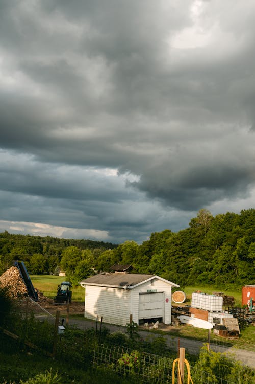 垂直拍攝, 夏天, 多雲的 的 免費圖庫相片