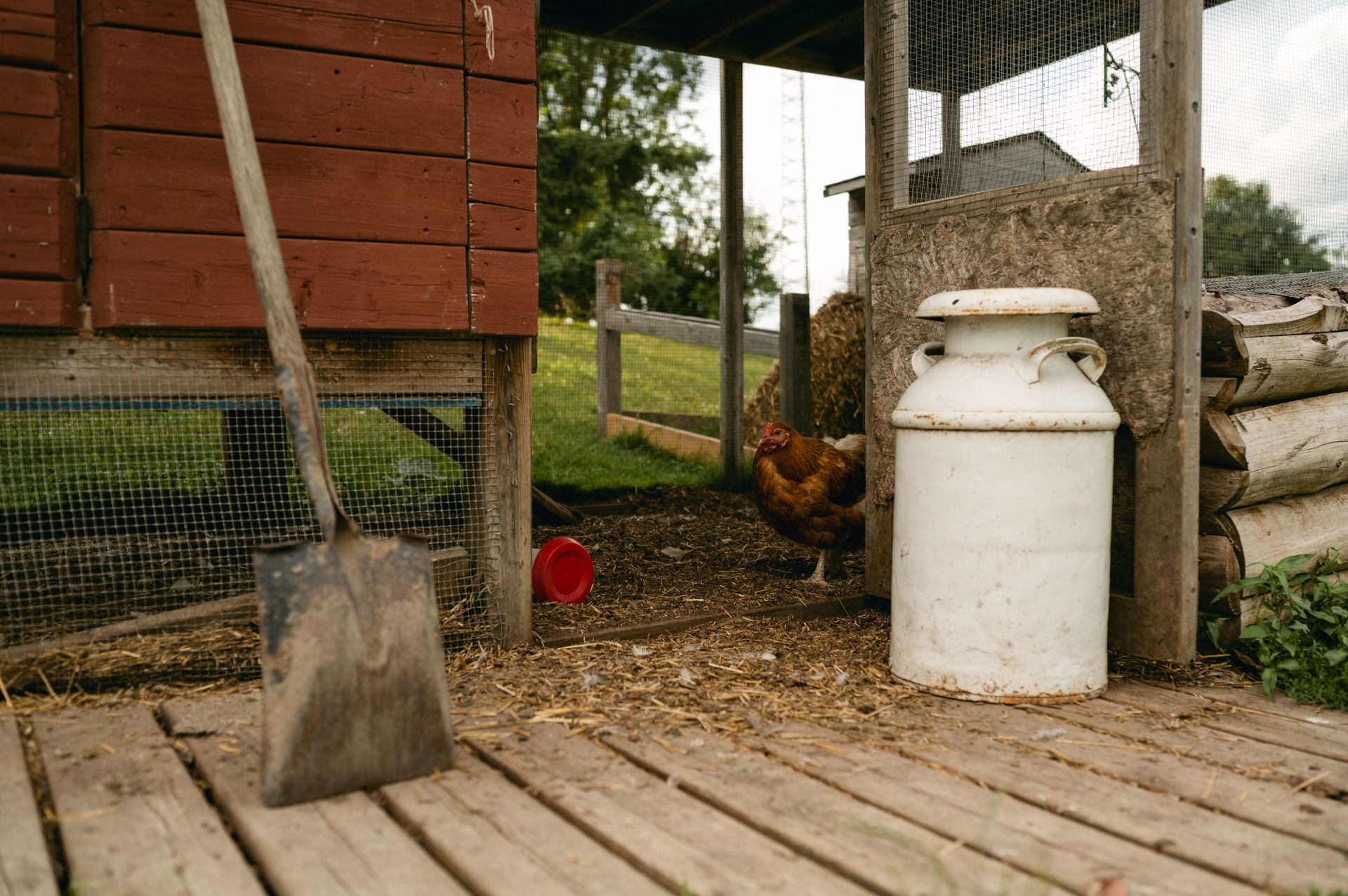 A rural farm scene with a chicken, milk can, and tools, showcasing rustic life.