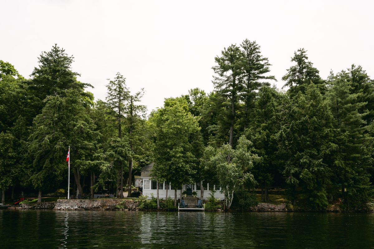 Waterfront cottage surrounded by lush forest
