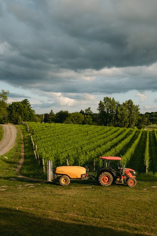 Tractor Next to Grape Plantation