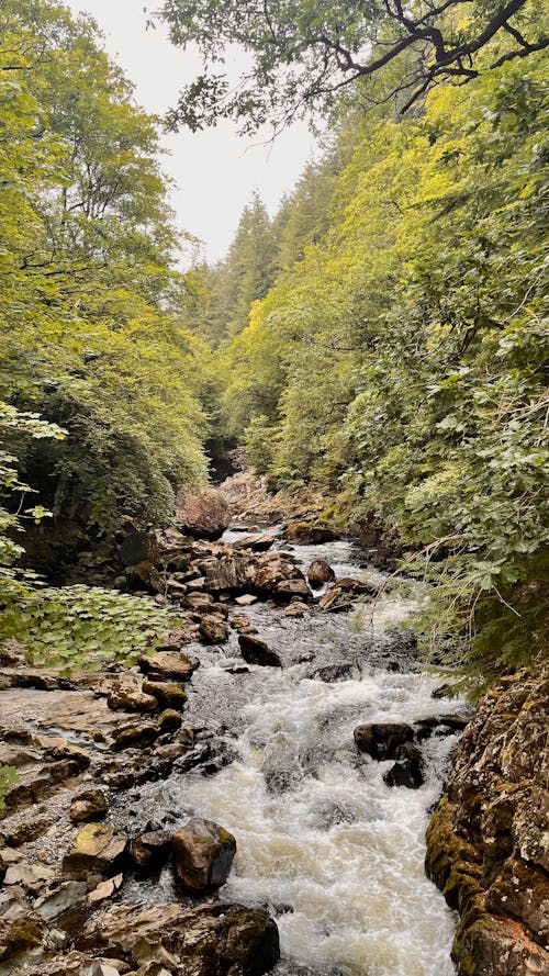 Photos gratuites de cailloux, étendue sauvage, fleuve