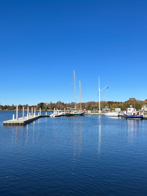 Foto d'estoc gratuïta de amarrat, barques, cel blau