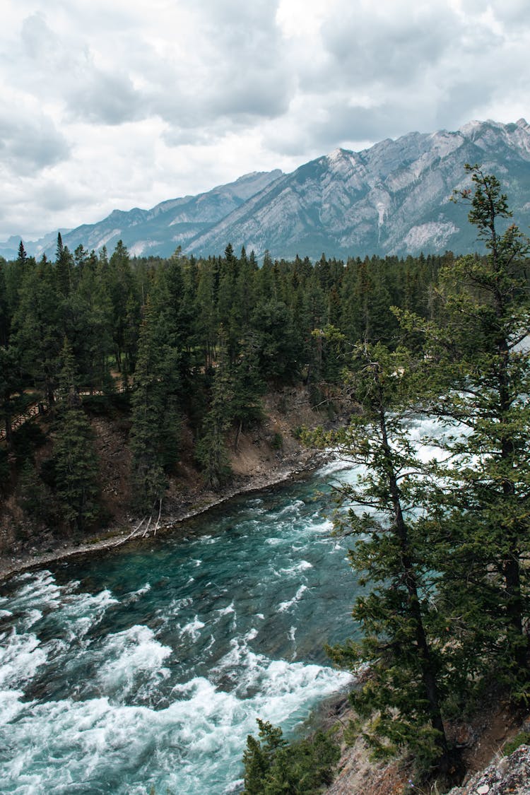 View Of A Rapid River Flowing Between Trees And Mountains In The Background 