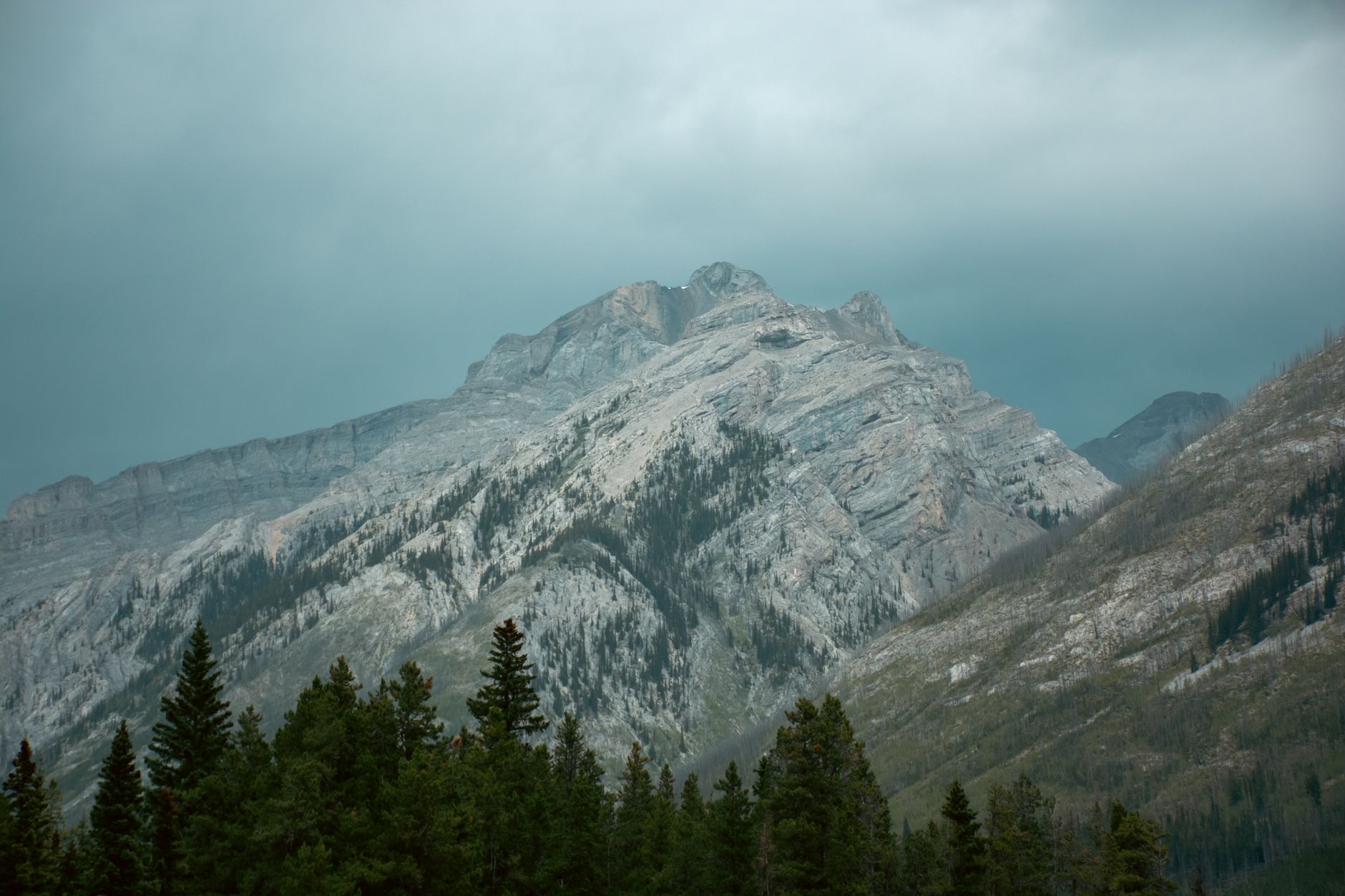 Scenic view of rugged mountains and coniferous trees in Banff, Canada.