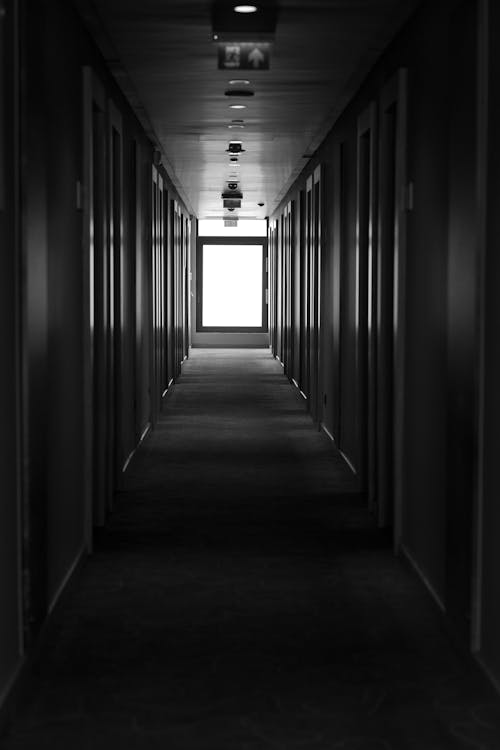 Immagine gratuita di bianco e nero, corridoi, corridoio
