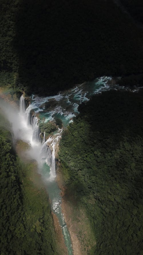 Imagine de stoc gratuită din arbori, cascadă, cascada tamul