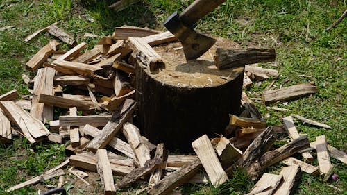 Imagine de stoc gratuită din buștean, ceară, de lemn