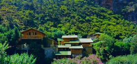 在阳光明媚的日子里，美丽的木制房屋坐落在充满活力的森林绿地中