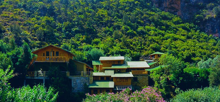 在阳光明媚的日子里，美丽的木制房屋坐落在充满活力的森林绿地中