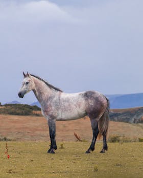 White horse standing in a tranquil meadow with mountains in the background, creating a scenic rural scene.