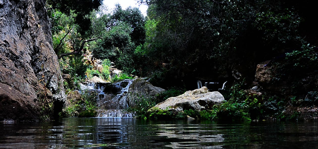 River Surrounded by Rocks and Trees