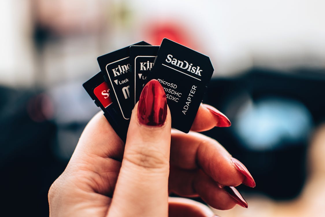 Free Selective Focus Photography of 3 Kingston Sandisk Adapter Stock Photo