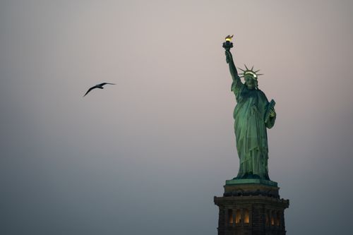 Free Majestic Statue of Liberty illuminated at dusk with a bird soaring nearby. Stock Photo