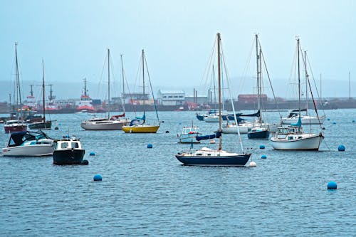 Foto profissional grátis de água, ancorado, barcos