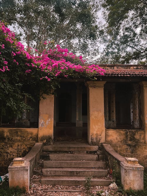 Fotos de stock gratuitas de 60 años de edad, abandonado, abandonar