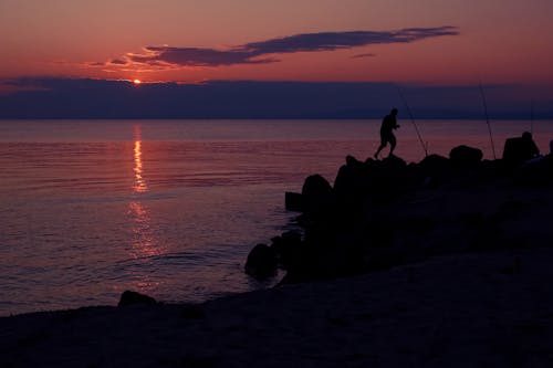 Free Silhouetted Fisherman and Fishing Rods on the Shore in the Evening Stock Photo
