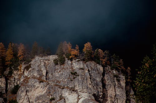 Foto profissional grátis de árvores, cenário, corroído