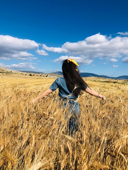 Fotos de stock gratuitas de campo, césped, mujer