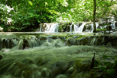 Foto d'estoc gratuïta de arbres, cascada, exposició prolongada