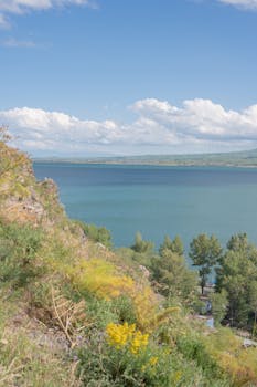 Beautiful view of a serene lake surrounded by hills and nature, showcasing vibrant greenery and calm waters.