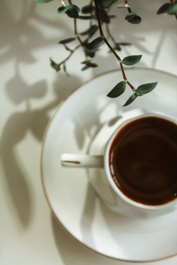 Morning coffee on a quiet terrace