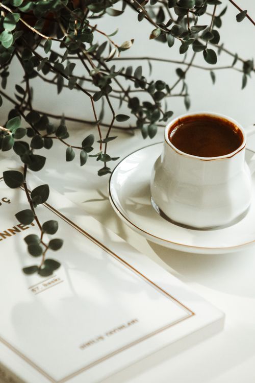 Free Warm, close-up of coffee cup, book, and plant on table. Stock Photo